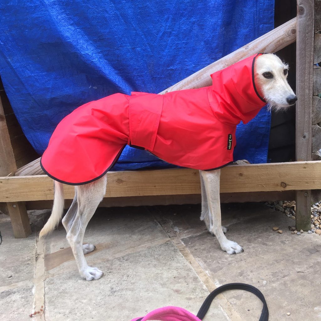 whippet shower mac with hood