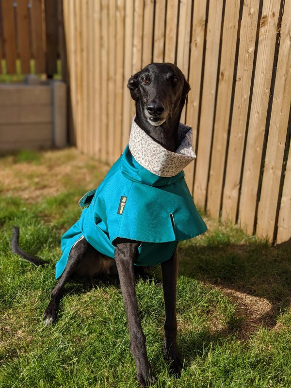 greyhound raincoat cotton lined