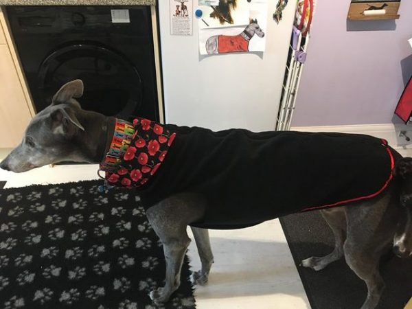Greyhound Vest Black/Poppies on Black Snood Lining