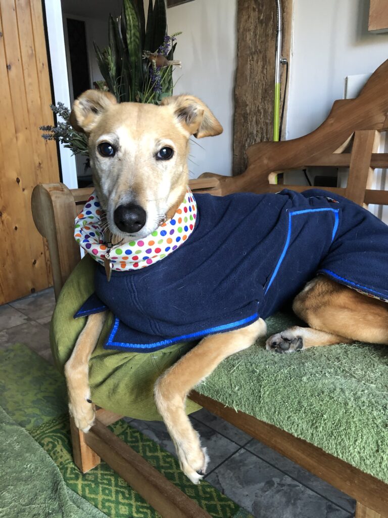 Ida from Sittingbourne.