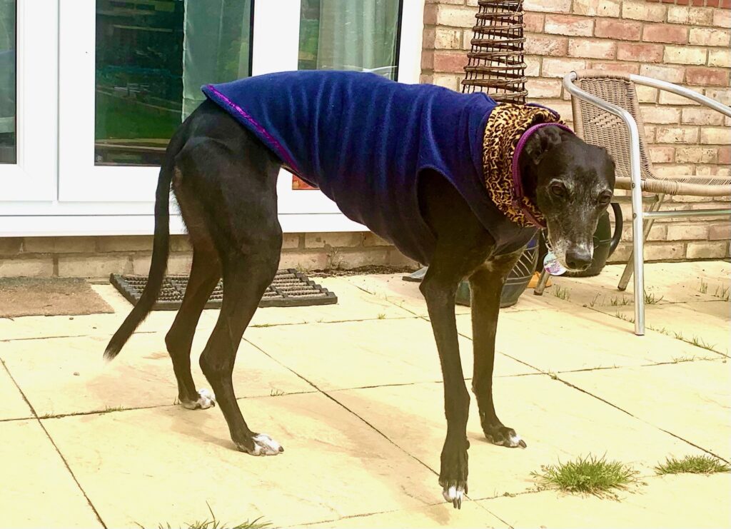 James Currie lovely vest pic