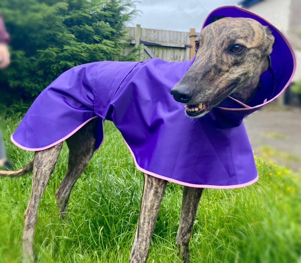 Pixie in shower mac 1