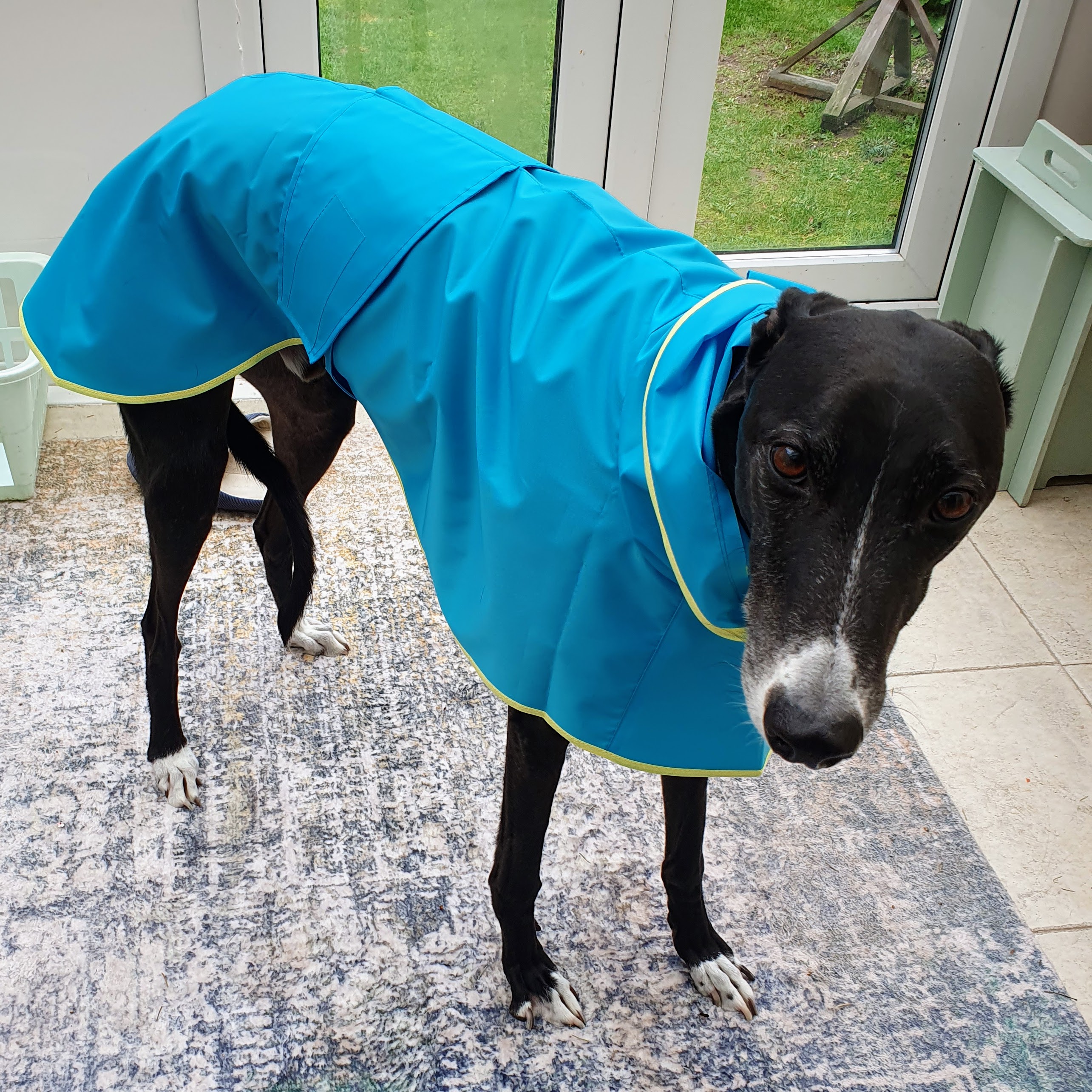Greyhound Shower Mac with Hood